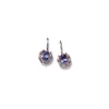 Tote Earrings - Tanzanite